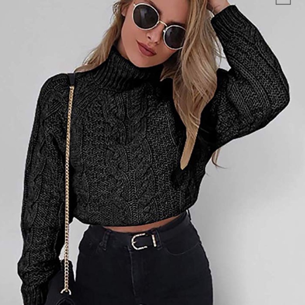 Turtleneck Long Sleeves Chunky Cropped Pullover